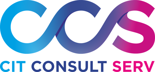 CIT Consult Serv